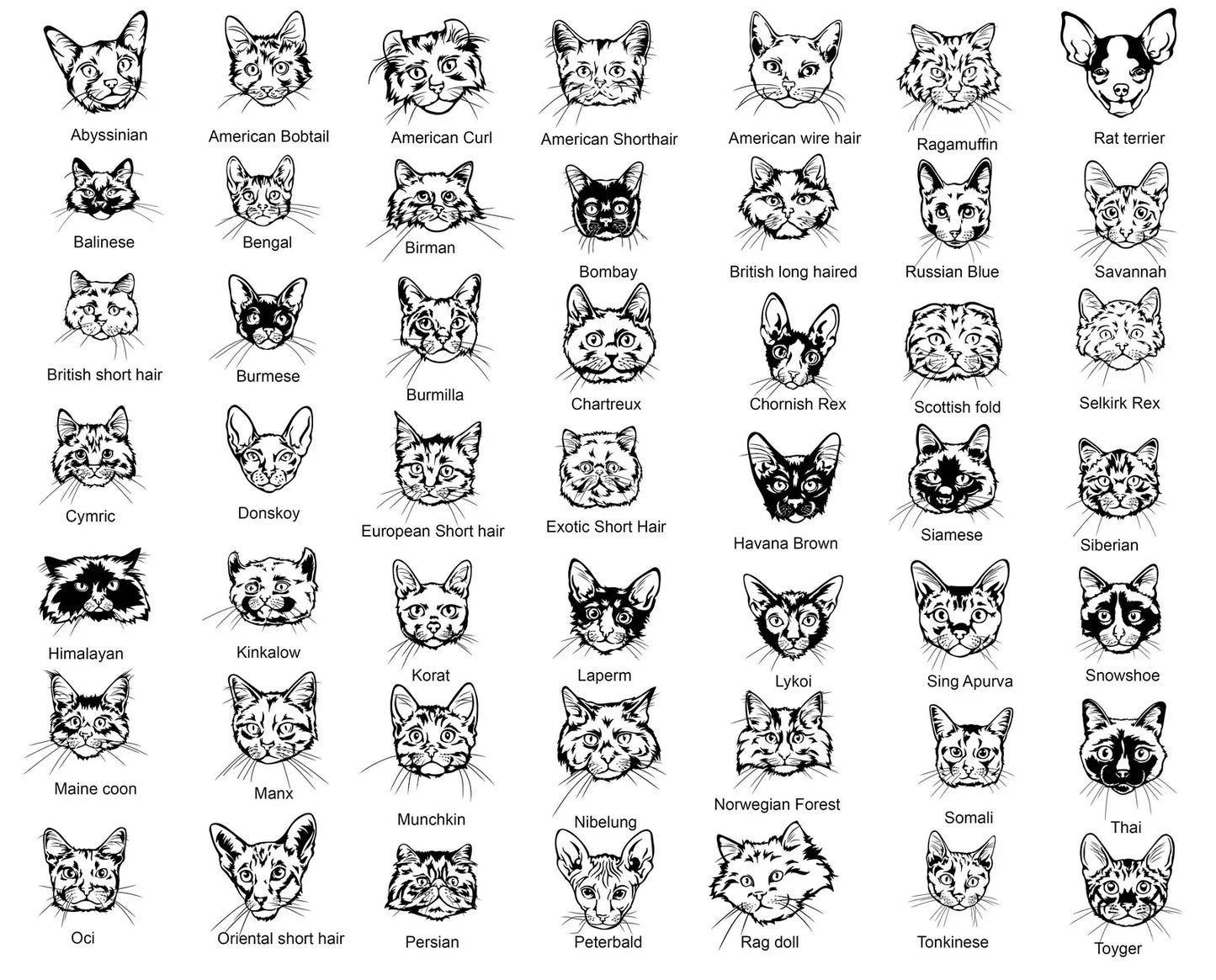 Custom Dog/Cat Tees Graphic Tee