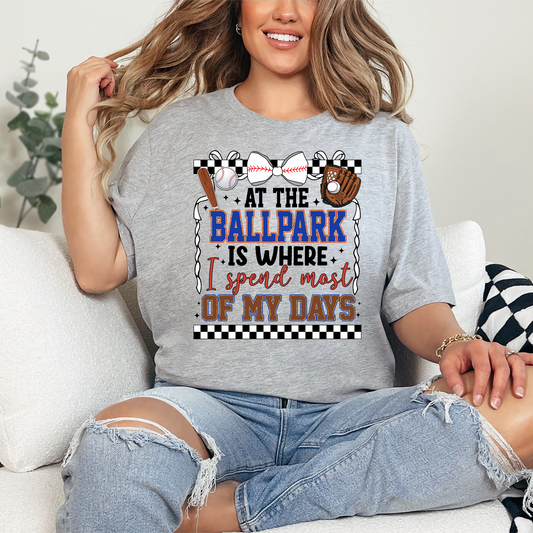 At the ballpark Graphic Tee